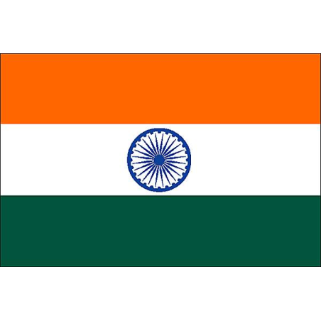 100 Roupie Inde (INR)