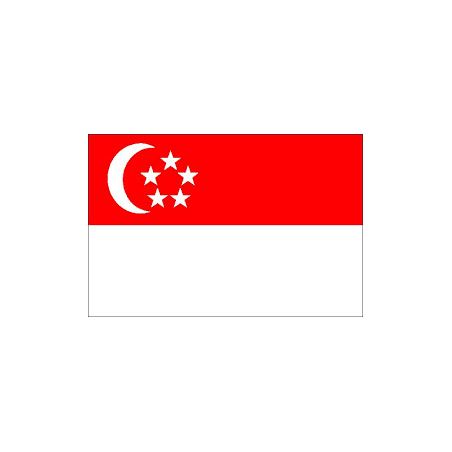 Dollar Singapour (SGD)