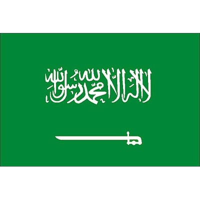 Riyal Arabie Saoudite (SAR)